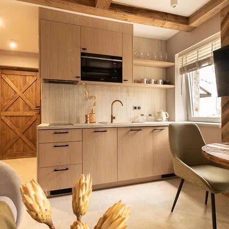 Gniazdo Sokola Apartment Zakopane